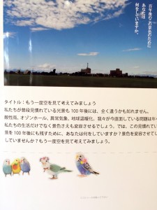 IMG_7948のコピー