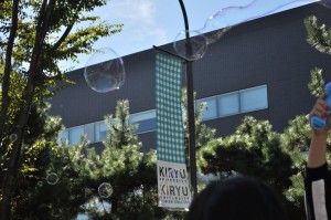 DSC_0377