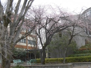CIMG0437