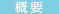 概要