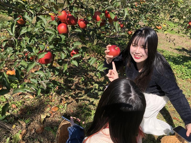 【栄養学科】りんご狩り