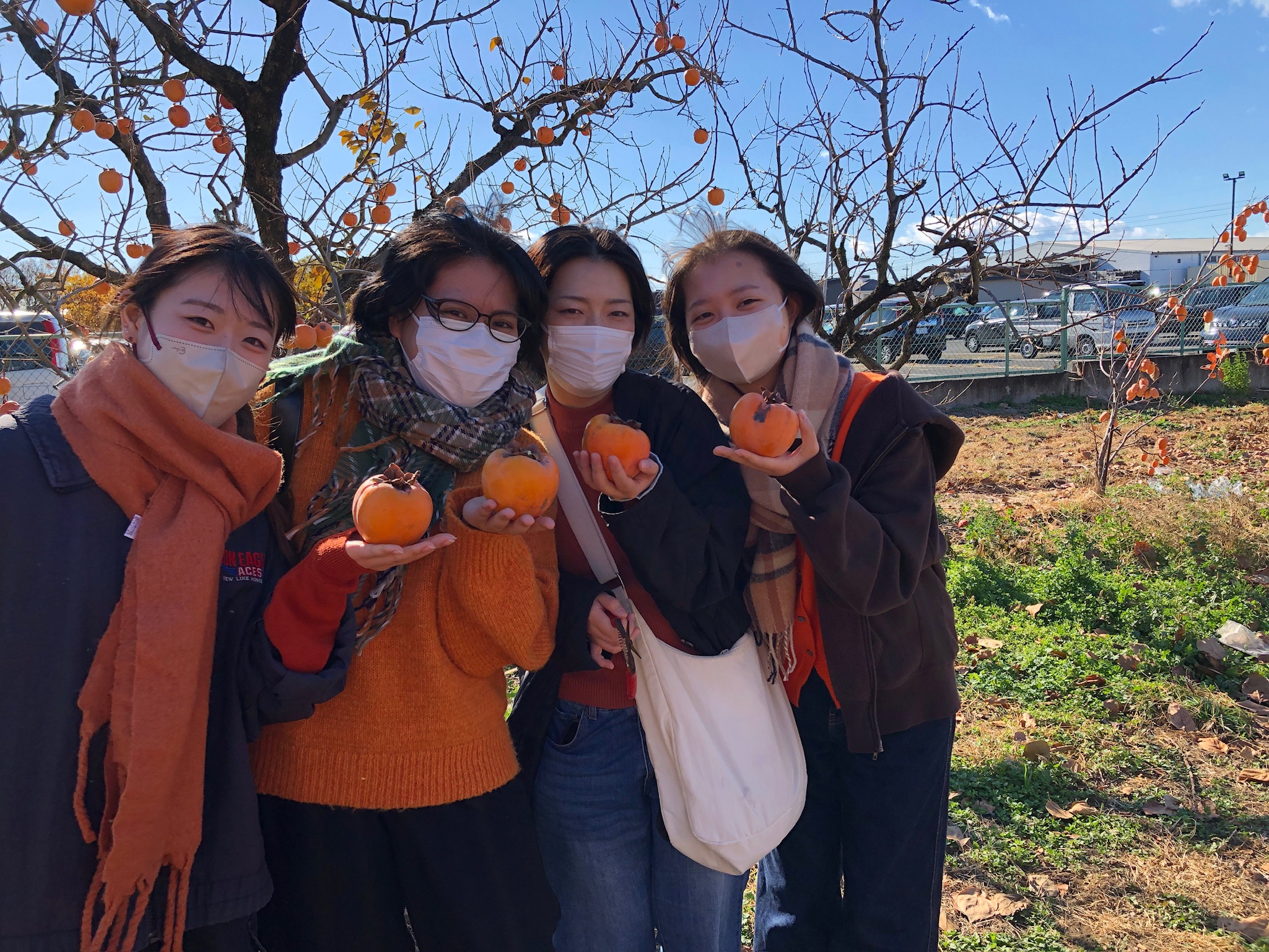 【栄養学科】柿収穫体験に行ってきました