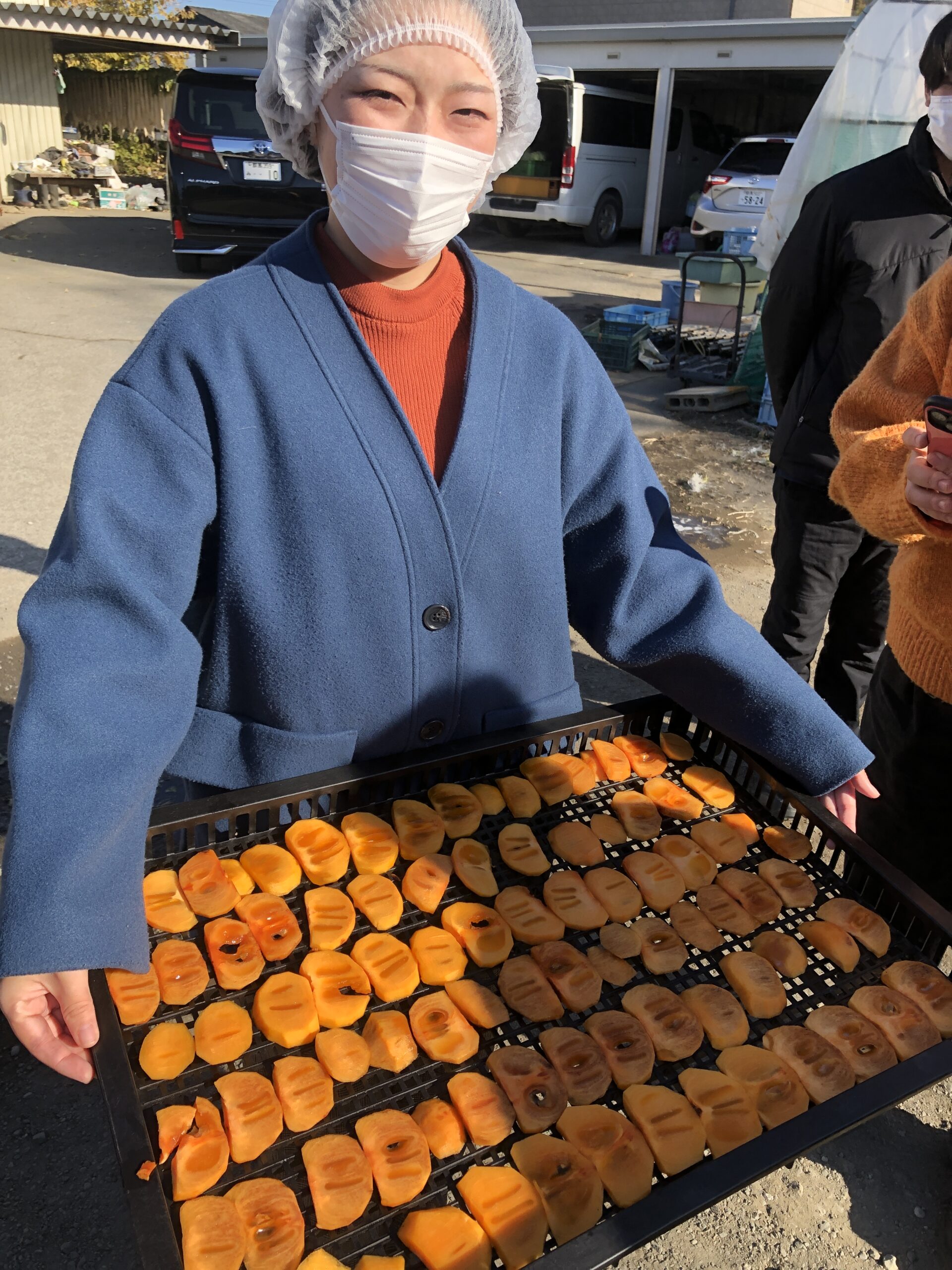 【栄養学科】干し柿と柿チップを作ってきました